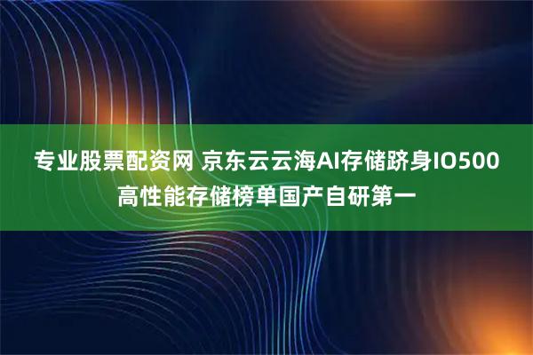 专业股票配资网 京东云云海AI存储跻身IO500高性能存储榜单国产自研第一