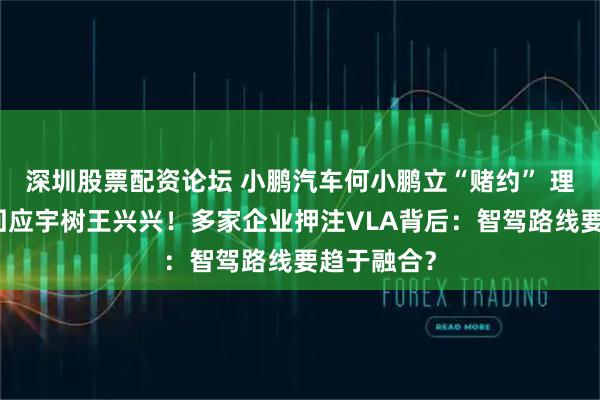 深圳股票配资论坛 小鹏汽车何小鹏立“赌约” 理想郎咸朋回应宇树王兴兴！多家企业押注VLA背后：智驾路线要趋于融合？