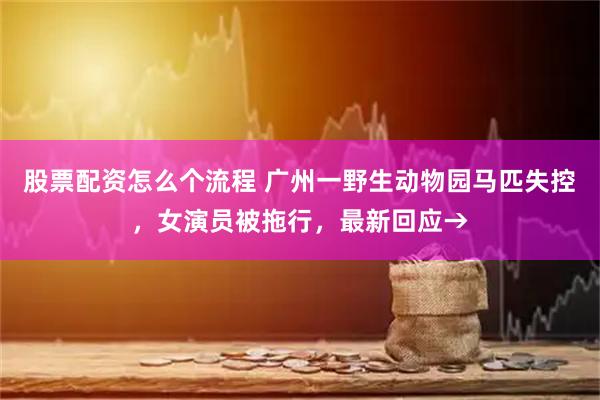股票配资怎么个流程 广州一野生动物园马匹失控，女演员被拖行，最新回应→