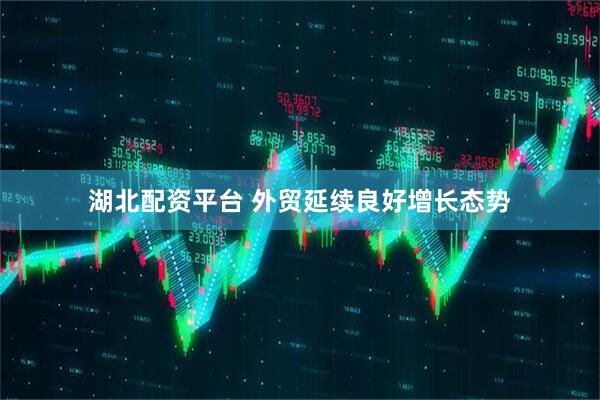 湖北配资平台 外贸延续良好增长态势